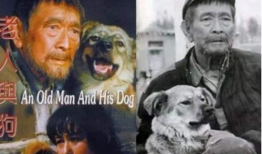 老狗电影,岁月沧桑，忠诚不渝的犬界传奇