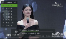 x91k怎么看电视直播,轻松实现电视直播新体验