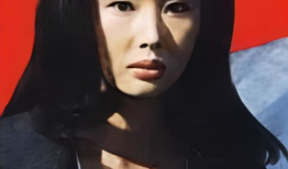 凤间由美电影,光影交织的青春传奇