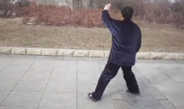 杨澄甫91式太极拳直播,传承经典，领略太极魅力