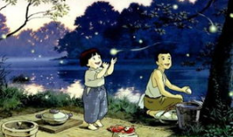 萤火虫电影,探寻生命奇迹的温暖旅程