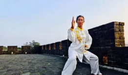 杨澄甫91式太极拳直播,传承经典，领略太极魅力