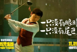 电影两只老虎,温情与幽默交织的童年回忆