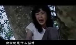 溜溜吧电影,一场视觉与听觉的盛宴