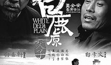 电影白鹿原,历史变迁中的家族命运