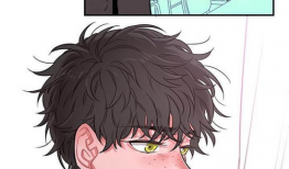 bl漫画高,浪漫与激情的交织，探索爱情的无限可能